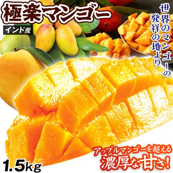 マンゴー 1.5kg 極楽マンゴー インド産 ご家庭用 品種おまかせ インドマンゴー ケサール チョ...