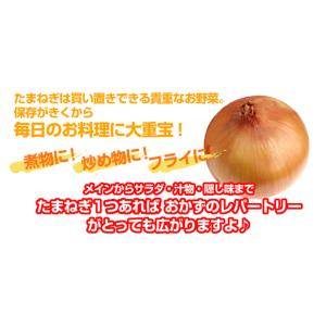 たまねぎ 20kg お買得 大容量 中国産 玉...の詳細画像5