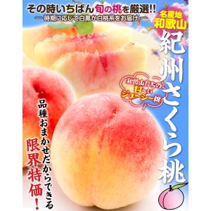 もも 2kg 紀州さくら桃 和歌山産 白鳳 白...の詳細画像1