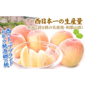 もも 2kg 紀州さくら桃 和歌山産 白鳳 白...の詳細画像2