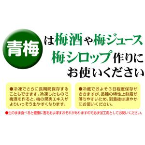 梅 10kg 紀北のおまかせ青梅 和歌山産 ご...の詳細画像3
