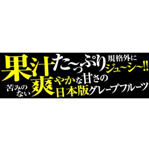 みかん 10kg ばりうま 河内晩柑 熊本産 ...の詳細画像1