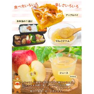 りんご 10kg 青森産 弘前の ふじ りんご...の詳細画像5