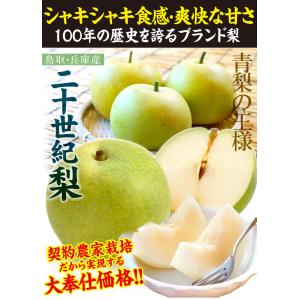 梨 10kg ご家庭用 二十世紀梨 鳥取・兵庫...の詳細画像2
