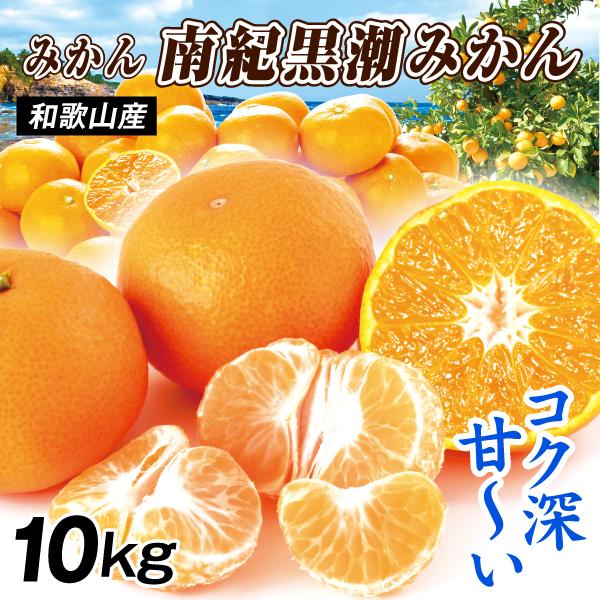 みかん 10kg 南紀黒潮みかん 和歌山産 送料無料 食品