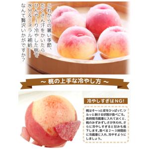 もも 長野産 信州長野の桃 約2kg ご家庭用...の詳細画像5