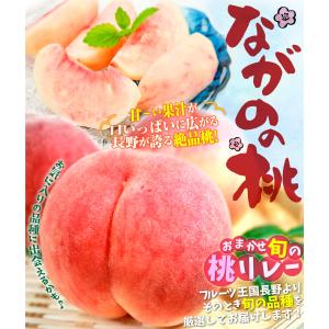 もも 長野産 信州長野の桃 約2kg ご家庭用...の詳細画像1