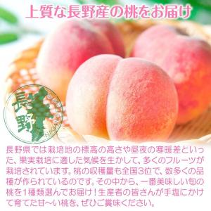 もも 長野産 信州長野の桃 約2kg ご家庭用...の詳細画像2