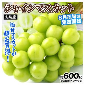 ぶどう 約600g (約300g×2パック) シャインマスカット 山梨産 8月下旬発送 ご家庭用 種なし 皮ごと 葡萄 ブドウ 送料無料 食品