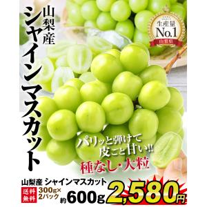 ぶどう 約600g (約300g×2パック) ...の詳細画像2