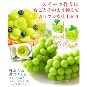 ぶどう 約1kg〜1.2kg 2〜3房 シャイ...の詳細画像5