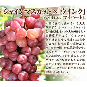 国華園 ぶどう 500g 1房 マイハート 山...の詳細画像2