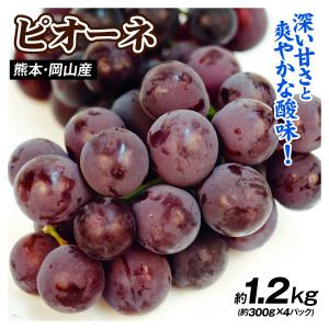ぶどう 約1.2kg (約300g×4パック) ...の商品画像