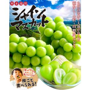 国華園 ぶどう 約700g (約350g×2パ...の詳細画像1