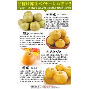 梨 約5kg 愛媛産 お買い得おまかせ和梨 豊...の詳細画像2