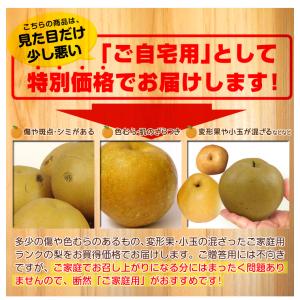 梨 約5kg 愛媛産 お買い得おまかせ和梨 豊...の詳細画像5