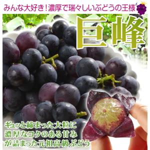 国華園 ぶどう 約600g (約300g×2パ...の詳細画像1