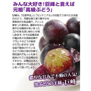 国華園 ぶどう 約600g (約300g×2パ...の詳細画像3