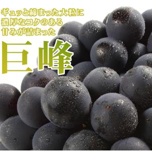 国華園 ぶどう 約600g (約300g×2パ...の詳細画像2
