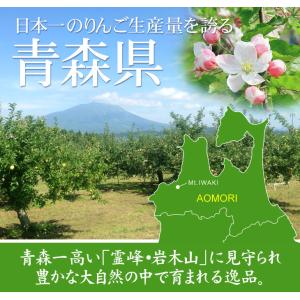 りんご 10kg 青森産 弘前の早生ふじ りん...の詳細画像3