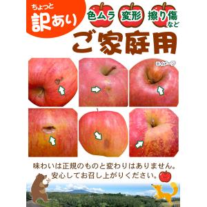 りんご 10kg 青森産 弘前の早生ふじ りん...の詳細画像4