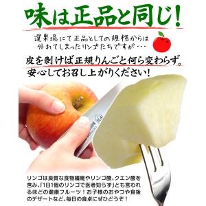 りんご 10kg 青森産 弘前の早生ふじ りん...の詳細画像5