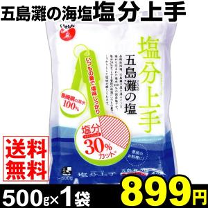 塩　塩分上手 1袋 （1袋500g入り） メール便　食品 国華園｜seikaokoku