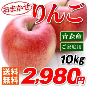 りんご　【送料無料】　【人気ナンバー１】　訳あり　本場　青森産　おまかせ赤りんご10kg　26から50玉　契約選果場 国華園