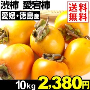（送料無料）　柿　愛宕柿　（あたご柿／干柿用／渋柿／干し柿初心者も安心・T字軸付／徳島産／愛媛産）　10kg1箱 国華園