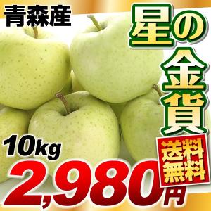 りんご 青森産　【送料無料】 ご家庭用 星の金貨 10kg 1箱 国華園