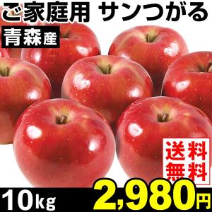 りんご 【超買得】青森産 ご家庭用 サンつがる 10kg1箱 送料無料　リンゴ 早生りんご 【ただいま発送中】 グルメ 国華園