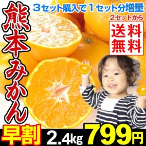 みかん　【超お買得】 熊本県 みかん 2.4kg 　 2セット目から送料無料　3セットで１セット分増量 国華園