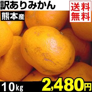 訳あり 熊本産 ご家庭用みかん １０kg１箱 国華園