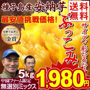 安納芋 種子島産 安納芋 訳ありミックス 5kg 送料無料 ぶっこみ企画 種子島産 ★究極のさつまいも 極甘蜜芋 中園ファームさん 最終特価 国華園