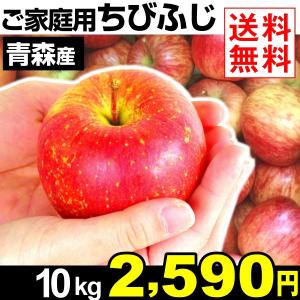 りんご 青森産 ちびふじ １０kg １組 送料無料 数量限定 国華園