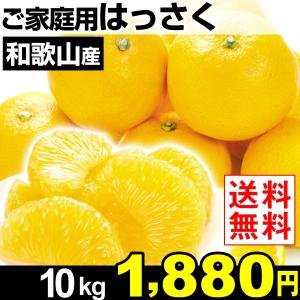 みかん 和歌山産 ご家庭用 はっさく 10kg 1箱 送料無料 国華園