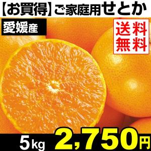 みかん【お買得】 愛媛産 ご家庭用せとか 5kg  1箱 送料無料 国華園