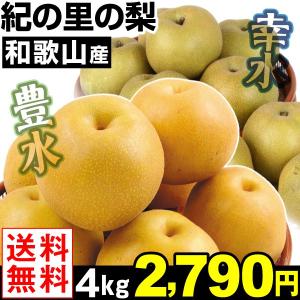 梨　和歌山産 紀の里の梨 豊水/幸水　各4kg 1箱　送料無料　和梨 国華園