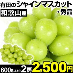 ぶどう 和歌山有田産 シャインマスカット　2房 1組　1房600g以上　秀品　種なし　極甘　 国華園