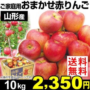 りんご リンゴ  山形産　おまかせ赤りんご　10kg　ご家庭用　送料無料【2017年新物りんご・秋発送】 国華園