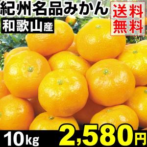 みかん ミカン 和歌山産 紀州名品みかん １０kg 1箱　送料無料　年内発送可能 国華園