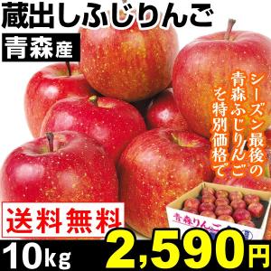 りんご 青森産 蔵出しふじりんご １０kg １組 送料無料　サンふじ　売り尽くし 国華園