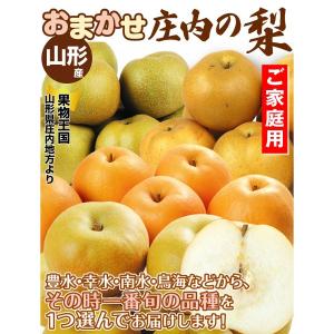 梨 約5kg 庄内おまかせ和梨 山形産 ご家庭...の詳細画像1