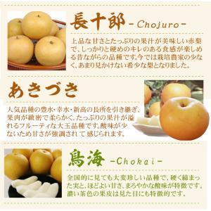 梨 約5kg 庄内おまかせ和梨 山形産 ご家庭...の詳細画像3