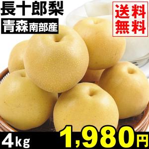 梨　青森南部町産 長十郎梨 4kg 1箱 送料無料 和梨【数量限定】 国華園