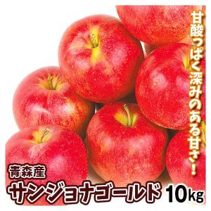 りんご 10kg サンジョナゴールド 青森産 ご家庭用 送料無料 食品