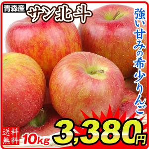 リンゴ 大特価 青森産 サン北斗（10kg）22〜56玉 ほくと ご家庭用 数量限定 希少品種 林檎 フルーツ 果物 国華園