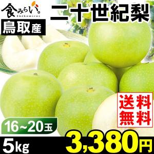 梨 【お買得】鳥取産 二十世紀梨 5kg 1箱 送料無料 ご...
