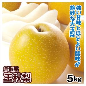 梨 鳥取産 王秋梨 ご家庭用 5kg 1箱 送料無料 和梨 ...