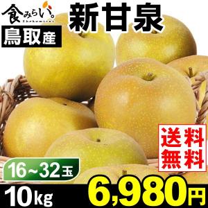 梨 鳥取産 ご家庭用 新甘泉梨 10kg 1箱 送料無料 和...